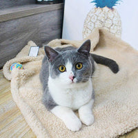 HKM-6096701 Cozy Plush Pet Blanket for Dogs and Cats - Various Sizes Available
