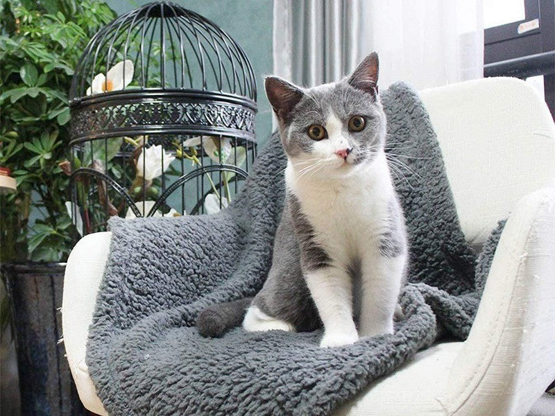 HKM-6096701 Cozy Plush Pet Blanket for Dogs and Cats - Various Sizes Available