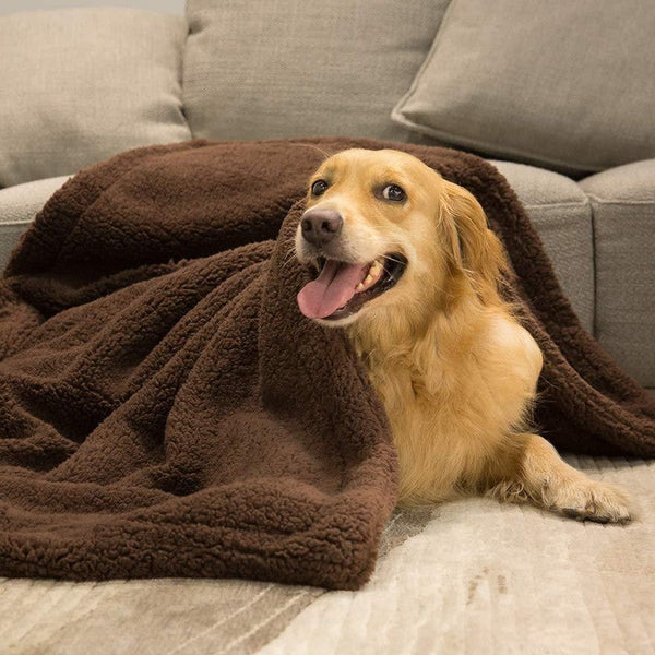 HKM-6096701 Cozy Plush Pet Blanket for Dogs and Cats - Various Sizes Available