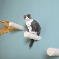 HKM-6099133 Wall-Mounted Solid Wood Cat Rack with Sisal Grab Post in White