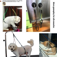 HKM-6099645 Pet Bath Steel Wire Rope with Suction Cup ¨C Single and Double Options Available