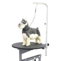 HKM-6099645 Pet Bath Steel Wire Rope with Suction Cup ¨C Single and Double Options Available