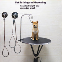 HKM-6099645 Pet Bath Steel Wire Rope with Suction Cup ¨C Single and Double Options Available