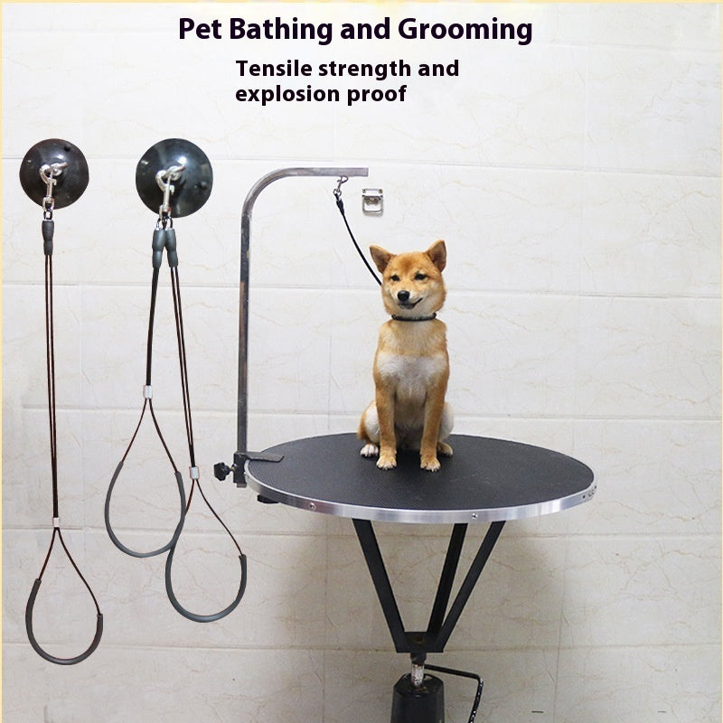 HKM-6099645 Pet Bath Steel Wire Rope with Suction Cup ¨C Single and Double Options Available