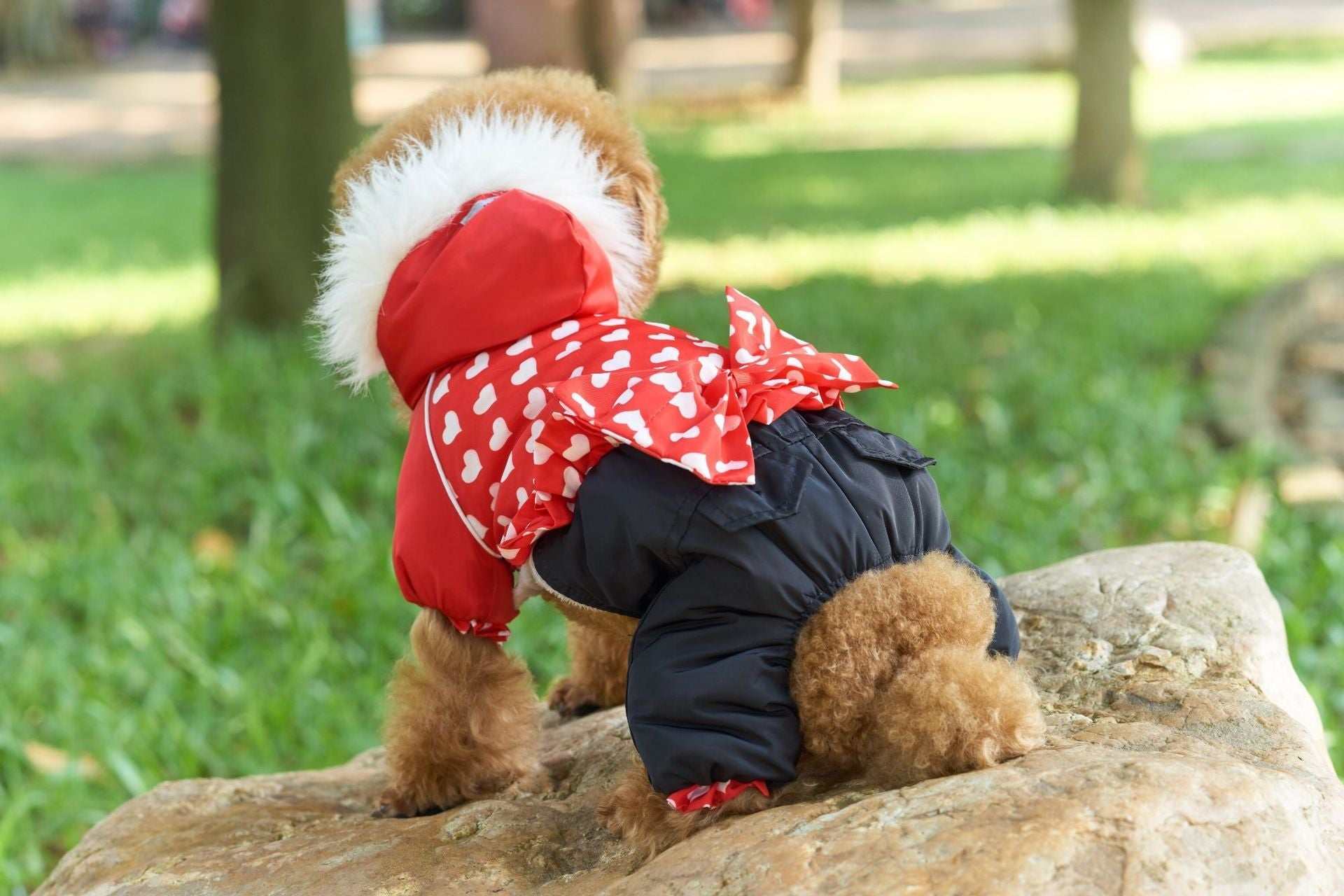 HKM-6100413 Thickened Red Winter Clothes for Four-Legged Pets - Sizes 8 to 16 Available