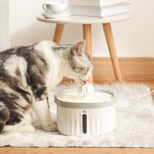 HKM-6101693 Automatic Cat Water Dispenser with Removable Filter and Power Cut Protection