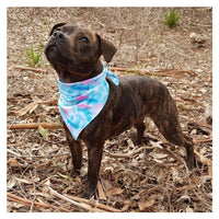 HKM-6103229 Double Printed Cotton Triangle Scarf for Dogs - Available in Three Sizes