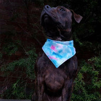 HKM-6103229 Double Printed Cotton Triangle Scarf for Dogs - Available in Three Sizes