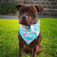 HKM-6103229 Double Printed Cotton Triangle Scarf for Dogs - Available in Three Sizes