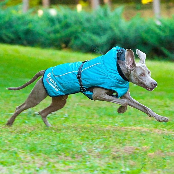 HKM-6103997 Waterproof and Reflective Nylon Pet Rain Jacket for Outdoor Use