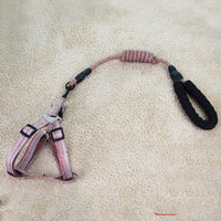 HKM-6104893 Linen Nylon Round Rope Pet Traction Set with Adjustable Chest Strap, Multiple Color Options
