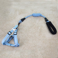 HKM-6104893 Linen Nylon Round Rope Pet Traction Set with Adjustable Chest Strap, Multiple Color Options