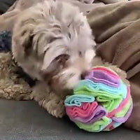 HKM-6111037 Sniffing Ball Plush Toy for Dogs - Fleece Material, Interactive Foraging Game, Two Sizes Available