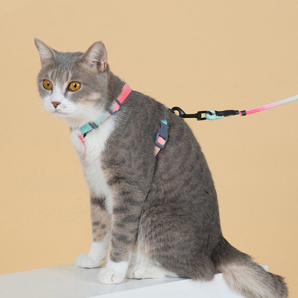 HKM-6111165 Fashion Cat Leash with Polyester Cotton Material - Size S and M Available in Multiple Colors