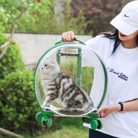 HKM-6113597 Transparent Portable Trolley Case for Cats and Small Dogs – Reinforced PC and Aluminum Alloy, Hard Shell Design