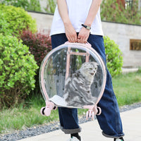 HKM-6113597 Transparent Portable Trolley Case for Cats and Small Dogs – Reinforced PC and Aluminum Alloy, Hard Shell Design