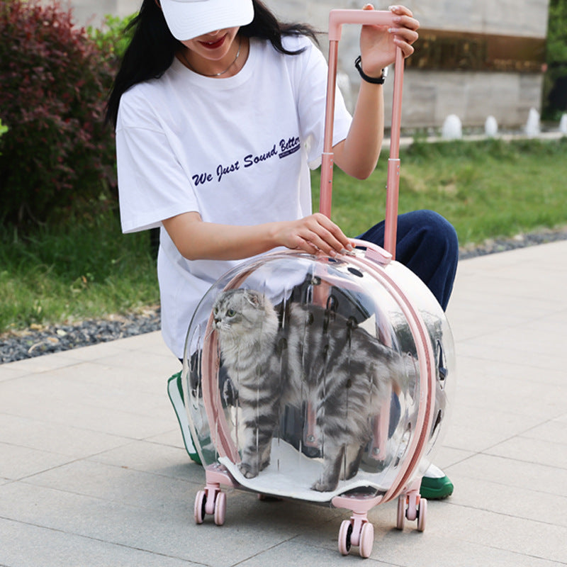 HKM-6113597 Transparent Portable Trolley Case for Cats and Small Dogs – Reinforced PC and Aluminum Alloy, Hard Shell Design