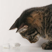 HKM-6114621 Interactive Little Snow Electric Toy Cat Puzzle - Engaging Pet Activity Throwing Toy
