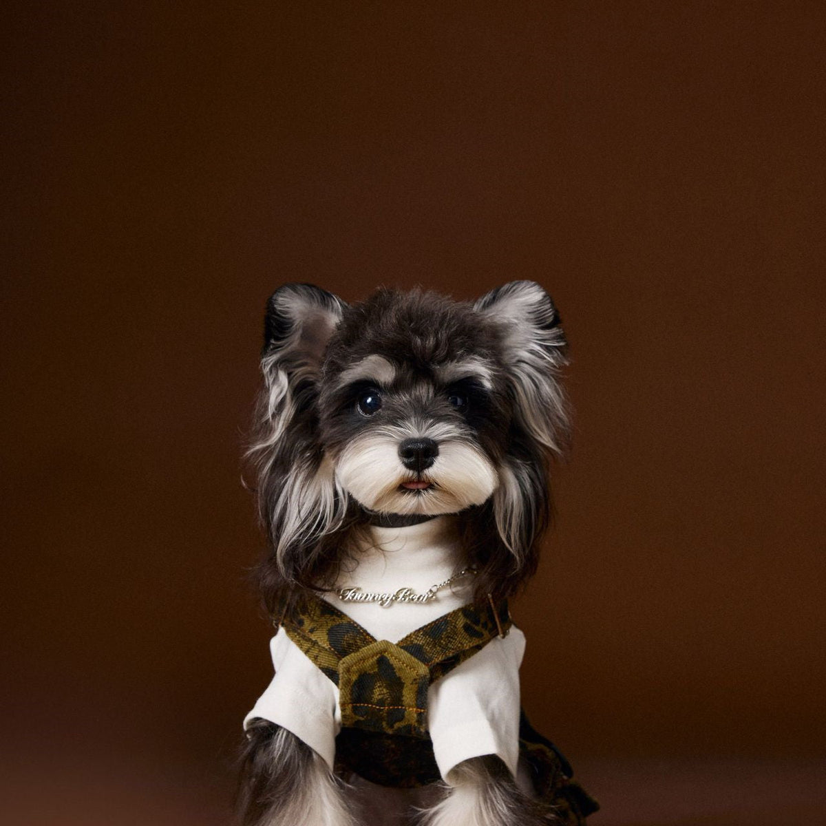 HKM-611667 Autumn Leopard Print Cotton Overalls for Dogs, Casual Suspender Pants in Various Sizes