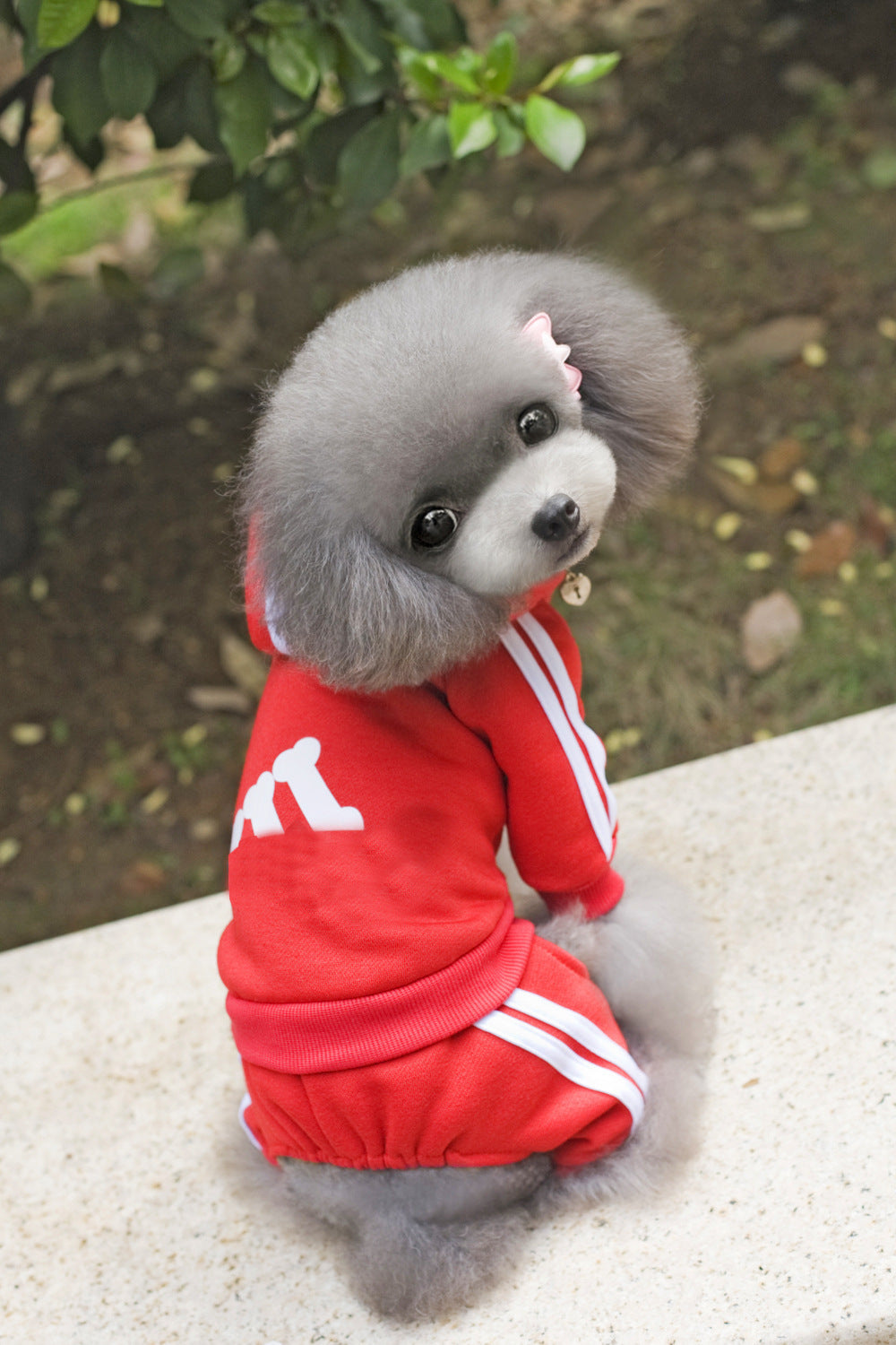 HKM-6121277 Cozy Cotton Dog Hoodie with Size Options for Pets