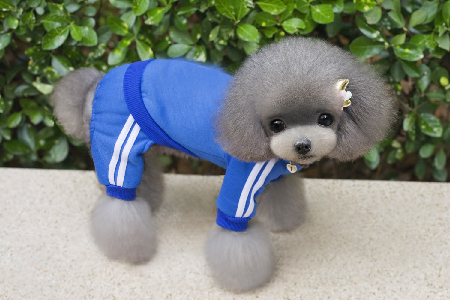 HKM-6121277 Cozy Cotton Dog Hoodie with Size Options for Pets