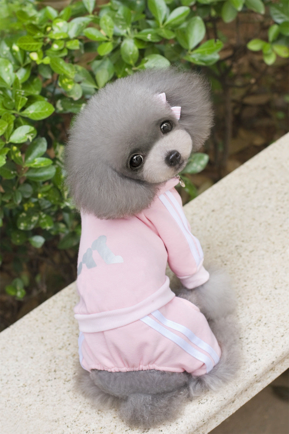 HKM-6121277 Cozy Cotton Dog Hoodie with Size Options for Pets