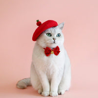 HKM-6121917 Princess Style Pet Wool Cartoon Hats for Winter - Multiple Colors Available