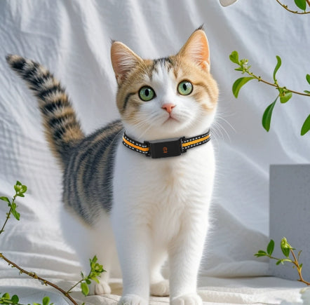 HKM-6122557 Pet Global Positioning Tracking Collar - ABS Material, Black and Green Options