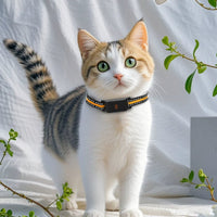 HKM-6122557 Pet Global Positioning Tracking Collar - ABS Material, Black and Green Options