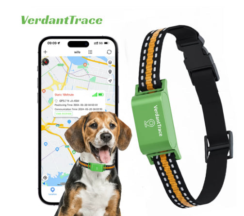 HKM-6122557 Pet Global Positioning Tracking Collar - ABS Material, Black and Green Options