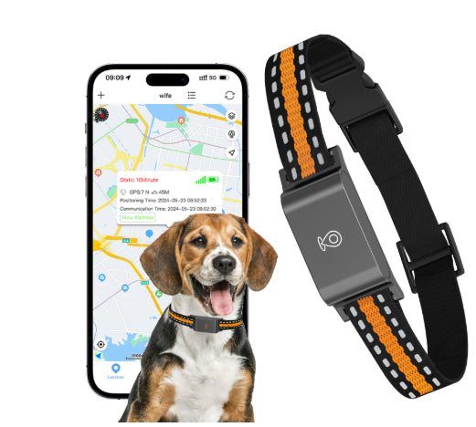 HKM-6122557 Pet Global Positioning Tracking Collar - ABS Material, Black and Green Options