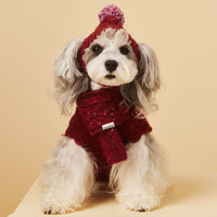 HKM-6122685 Wool Winter Hat and Scarf Set for Small to Medium Dogs