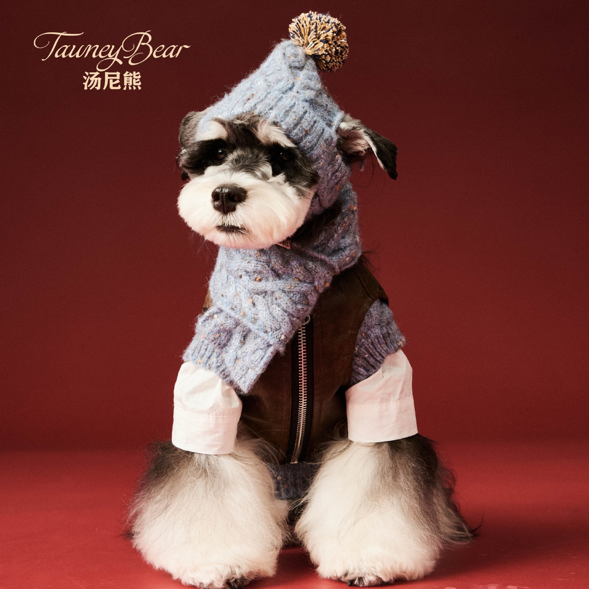 HKM-6122685 Wool Winter Hat and Scarf Set for Small to Medium Dogs