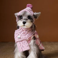 HKM-6122685 Wool Winter Hat and Scarf Set for Small to Medium Dogs