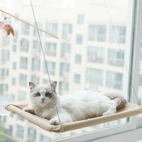 HKM-6124477 Blue Cat Suction Cup Hanging Hammock with Soft Chair and Cozy Accessories for Sunbathing