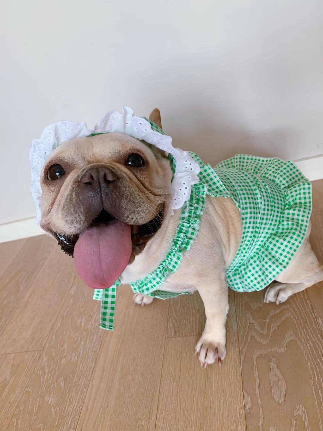 HKM-6130237 Creative Plaid Dog Dress Set for All Breeds - Blue and Green - Sizes XS to XXL