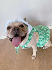 HKM-6130237 Creative Plaid Dog Dress Set for All Breeds - Blue and Green - Sizes XS to XXL