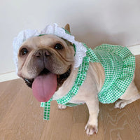 HKM-6130237 Creative Plaid Dog Dress Set for All Breeds - Blue and Green - Sizes XS to XXL