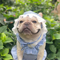 HKM-6130237 Creative Plaid Dog Dress Set for All Breeds - Blue and Green - Sizes XS to XXL