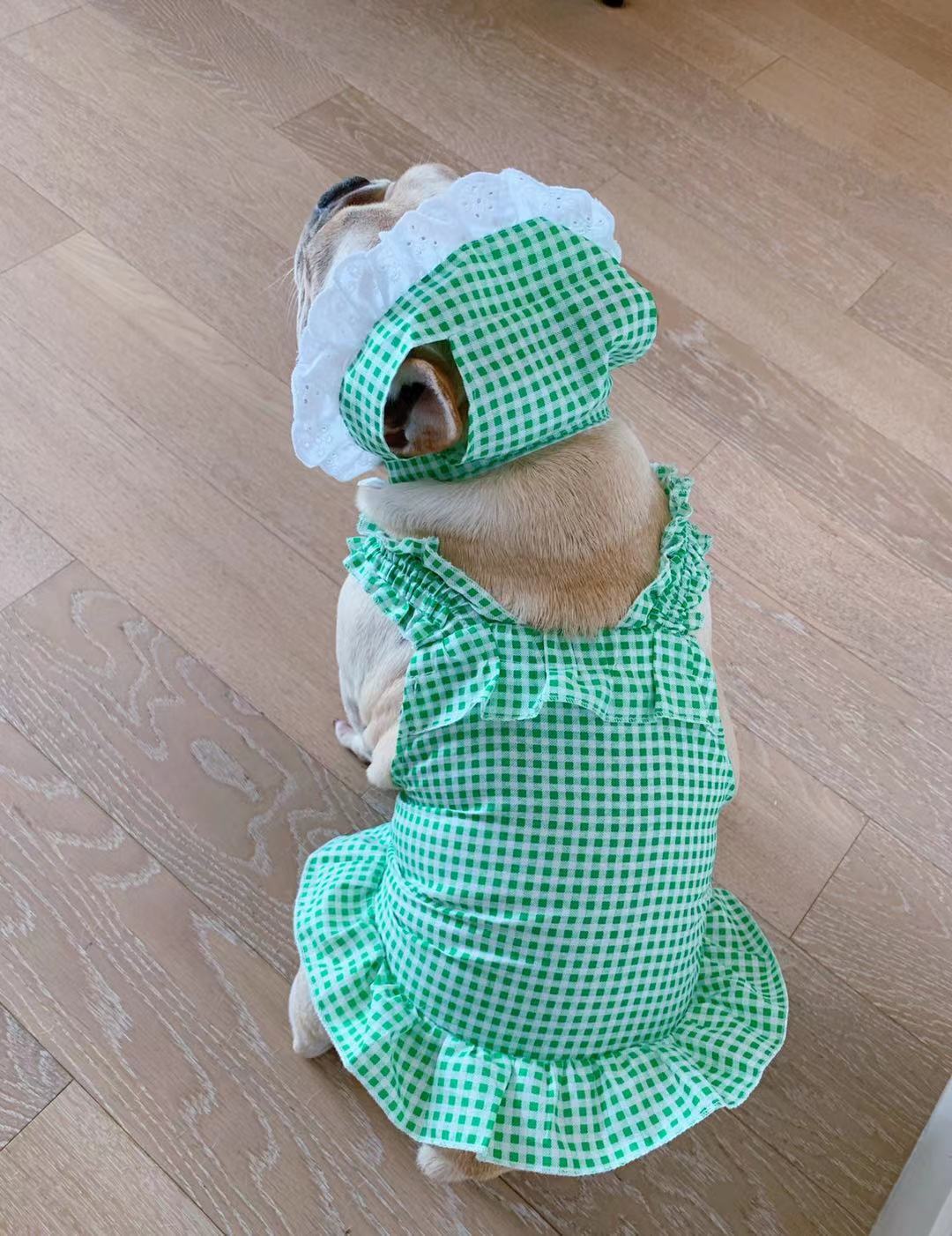 HKM-6130237 Creative Plaid Dog Dress Set for All Breeds - Blue and Green - Sizes XS to XXL