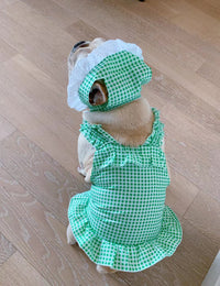 HKM-6130237 Creative Plaid Dog Dress Set for All Breeds - Blue and Green - Sizes XS to XXL