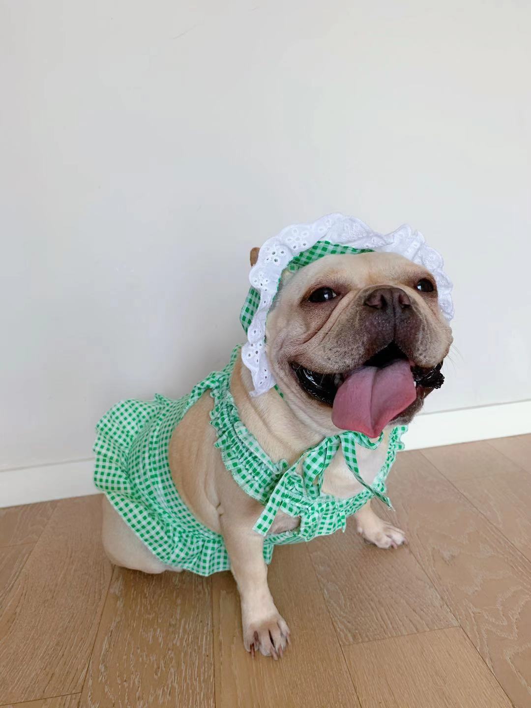 HKM-6130237 Creative Plaid Dog Dress Set for All Breeds - Blue and Green - Sizes XS to XXL