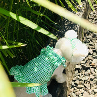 HKM-6130237 Creative Plaid Dog Dress Set for All Breeds - Blue and Green - Sizes XS to XXL
