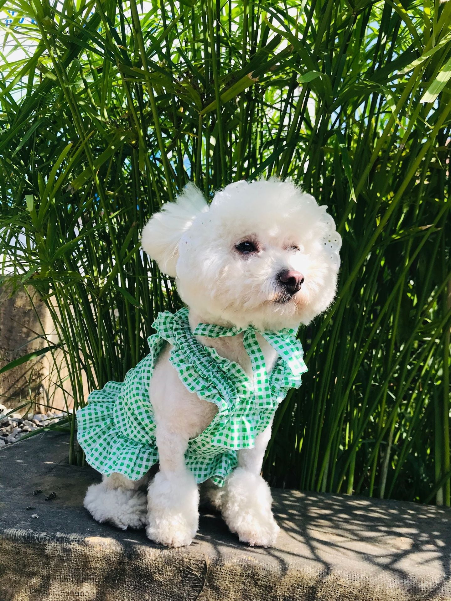 HKM-6130237 Creative Plaid Dog Dress Set for All Breeds - Blue and Green - Sizes XS to XXL