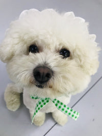 HKM-6130237 Creative Plaid Dog Dress Set for All Breeds - Blue and Green - Sizes XS to XXL