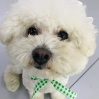 HKM-6130237 Creative Plaid Dog Dress Set for All Breeds - Blue and Green - Sizes XS to XXL