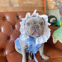 HKM-6130237 Creative Plaid Dog Dress Set for All Breeds - Blue and Green - Sizes XS to XXL