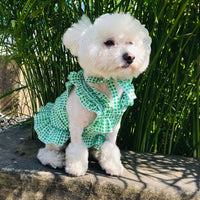 HKM-6130237 Creative Plaid Dog Dress Set for All Breeds - Blue and Green - Sizes XS to XXL