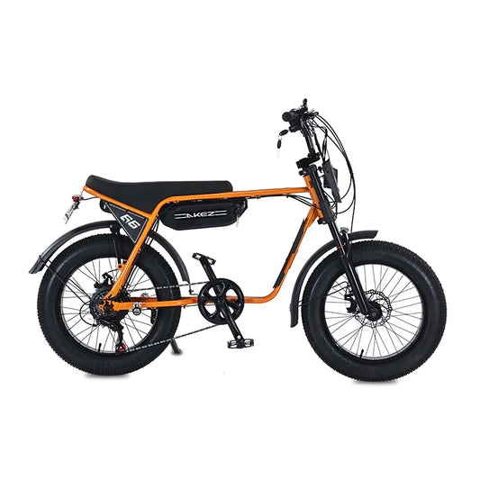 HKM-613267 Akez 20 Inch 750W Electric Fat Tire Mountain Bike for Adults, Ideal for City and Off-Road Riding