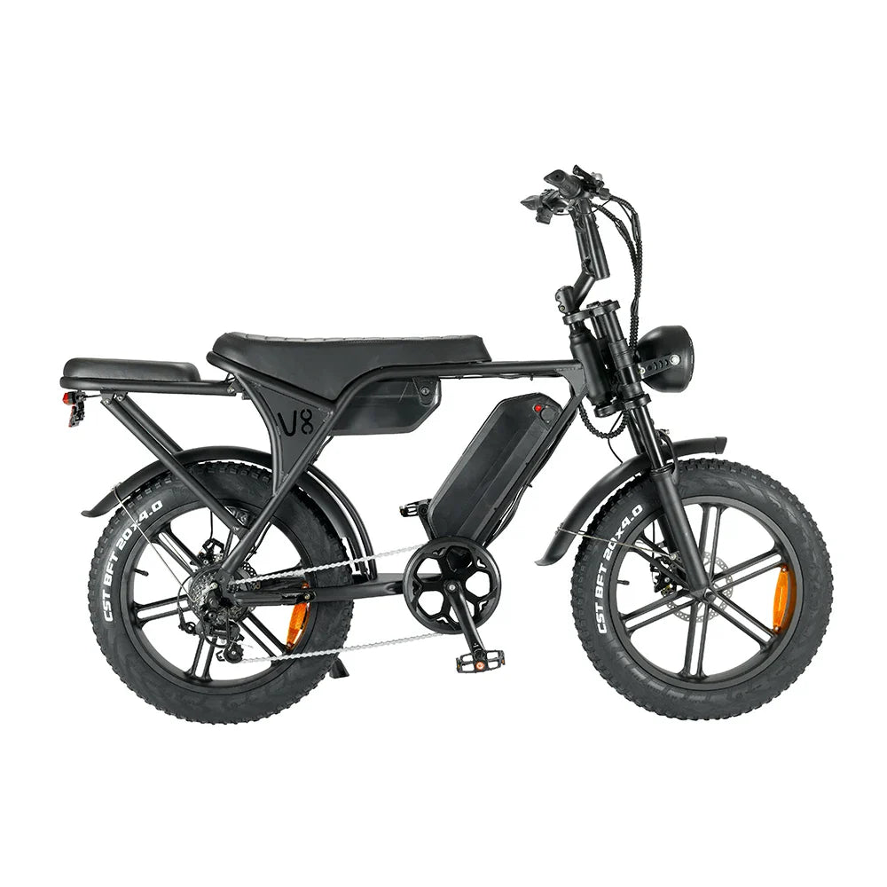 HKM-613267 Akez 20 Inch 750W Electric Fat Tire Mountain Bike for Adults, Ideal for City and Off-Road Riding